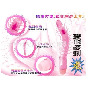 變形多刺龍1