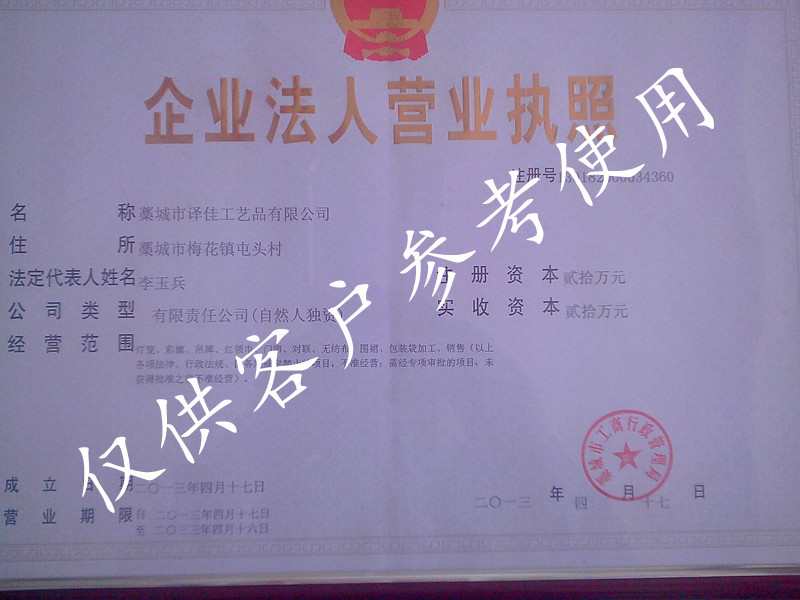 IMG20130425008