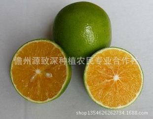 柑桔、橙、柚-供应海南绿橙湾岭镇(代办)-柑桔