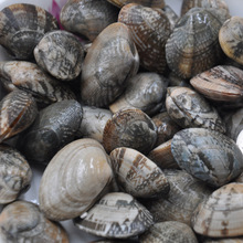 花哈_花哈价格_优质花哈批发\/采购