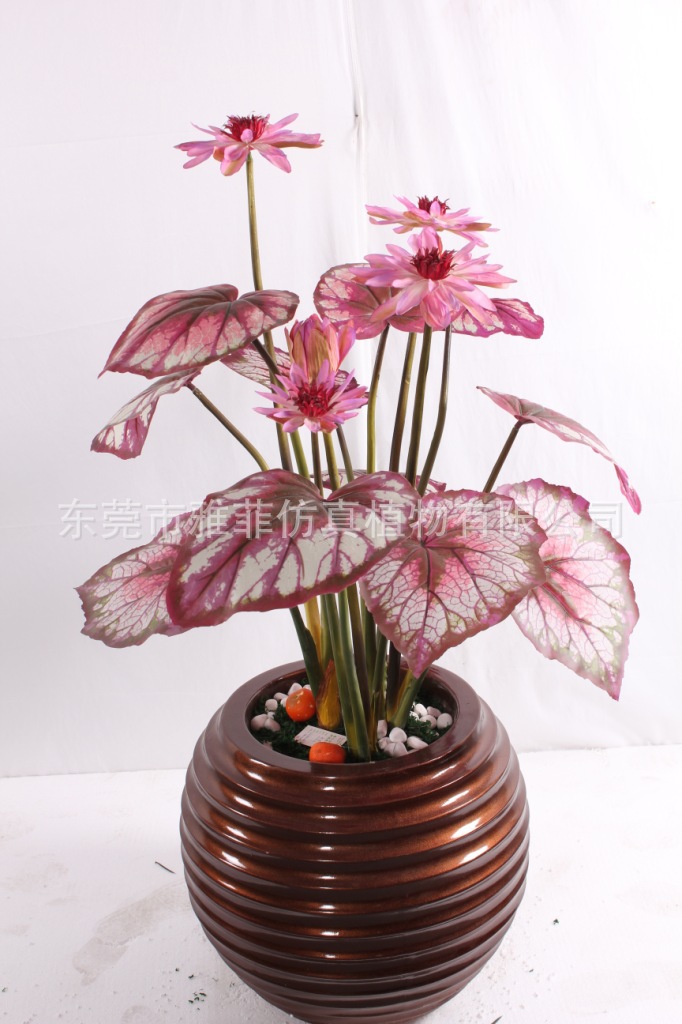 SJA0273 秋莲 100CM