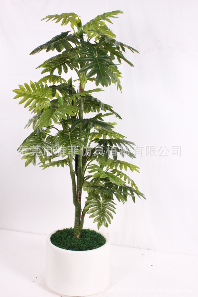 SJA0028 春芋  150CM