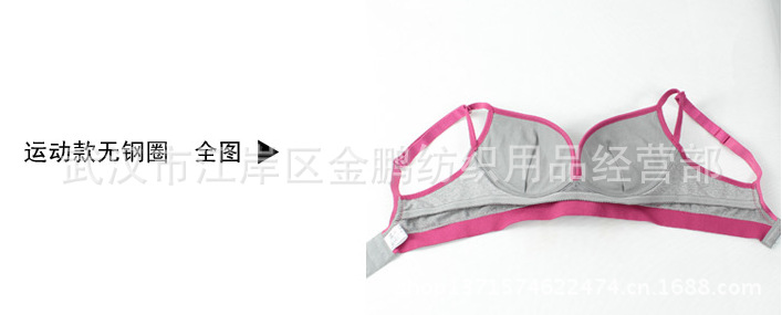 KY胸罩2