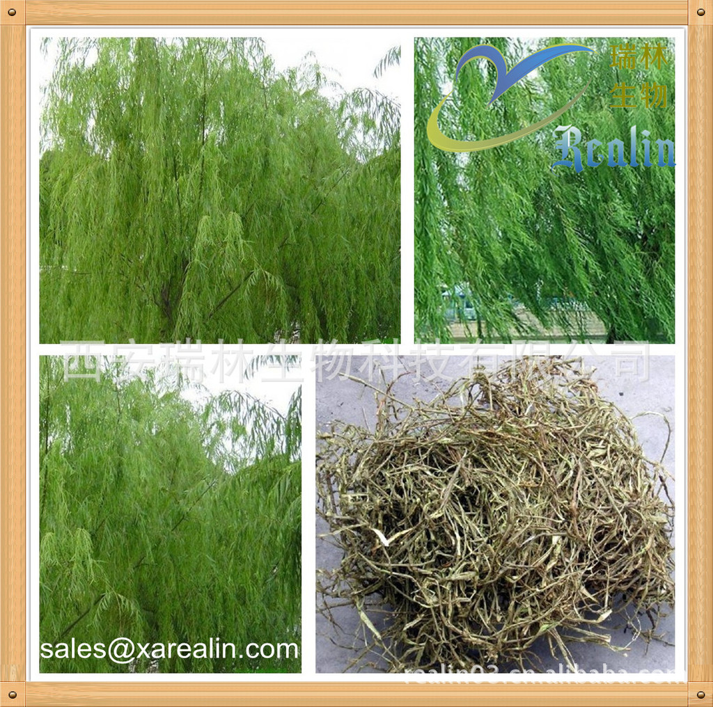 植物提取物-解热镇痛原料药水杨苷(D-(-)-水杨苷