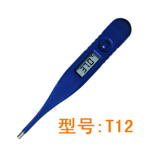 T12