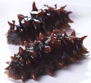 【鲜活辽参】鲜活辽参价格\/图片_鲜活辽参批发