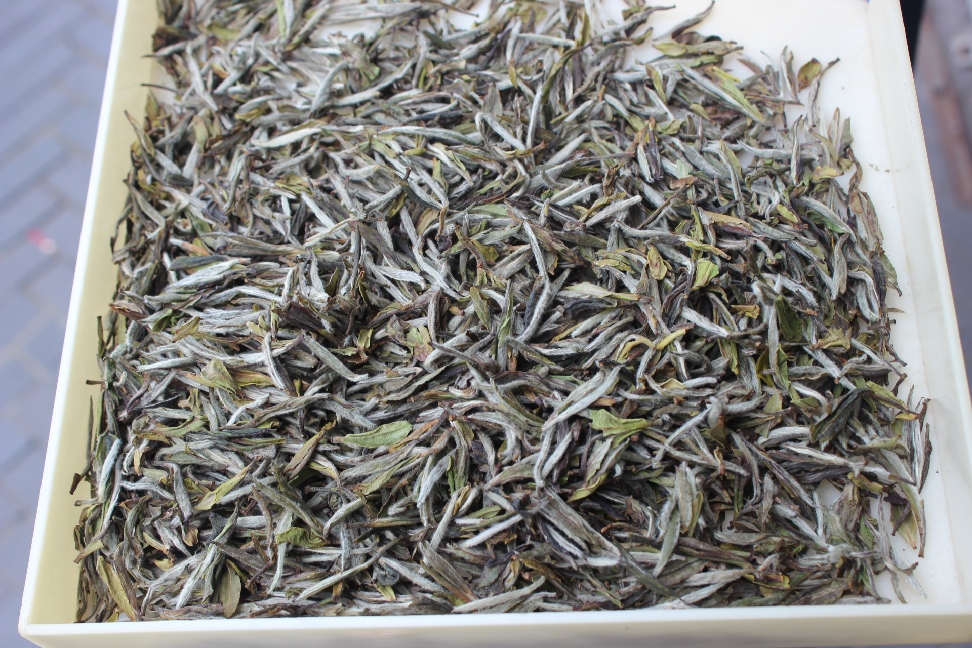 大白茶-福鼎大白茶成苗--阿里巴巴采购平台求购产品详情