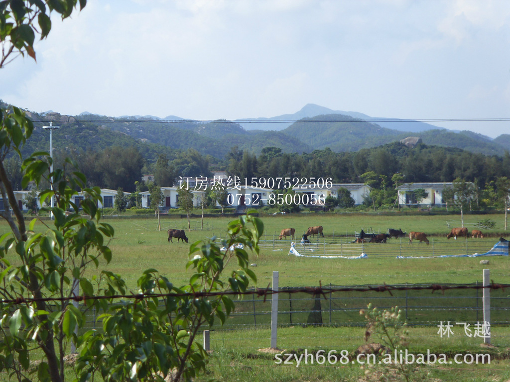 【深圳到惠州双月湾 自驾游 酒店住宿预订 本地