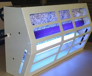 01300000250196122960774350266