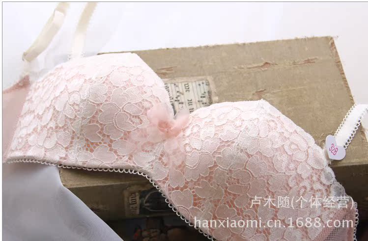批发采购文胸-外贸新款 外贸文胸 欧美内衣 原