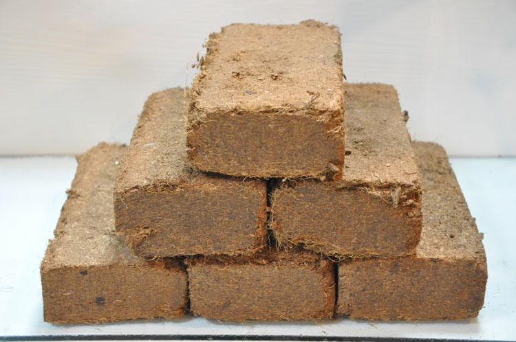 大量批发650g高品质无包装无菌进口椰糠砖|营