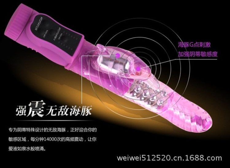邦愛無敵海豚06
