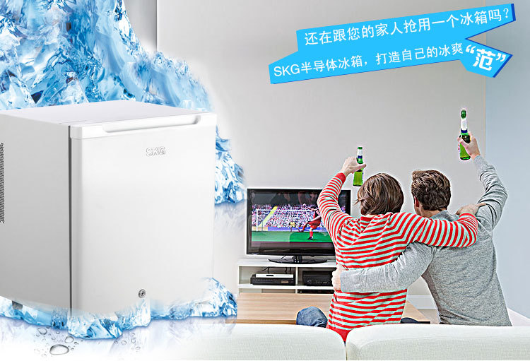 【【2013新款】SKG半导体冰箱 车载冰箱 电子