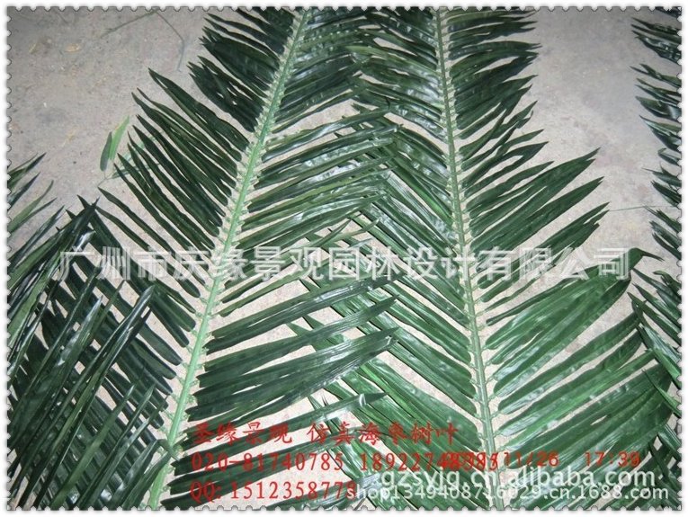 qq图片20130614101649