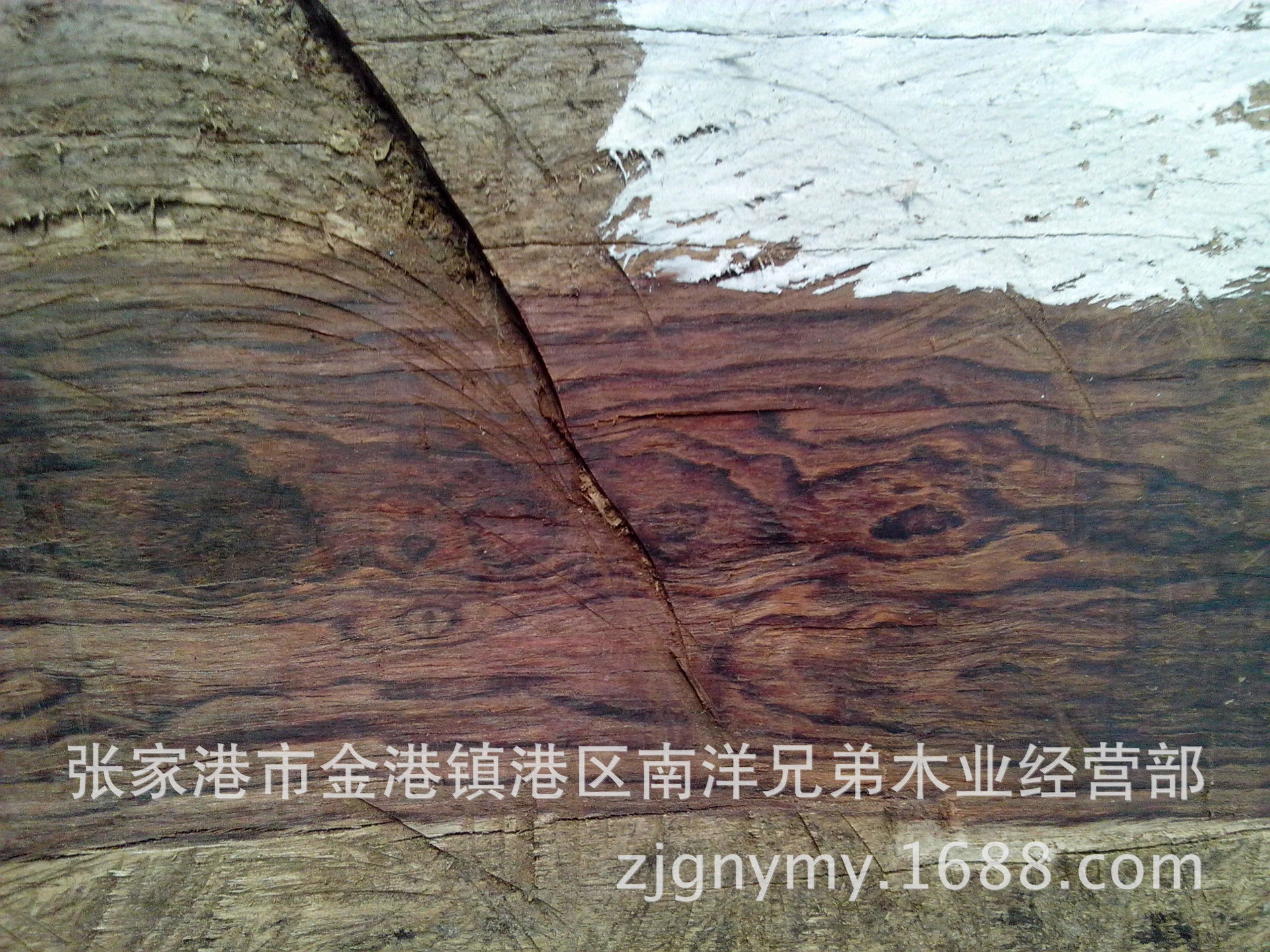 原木-伯利兹黄檀-原木尽在阿里巴巴-张家港市金
