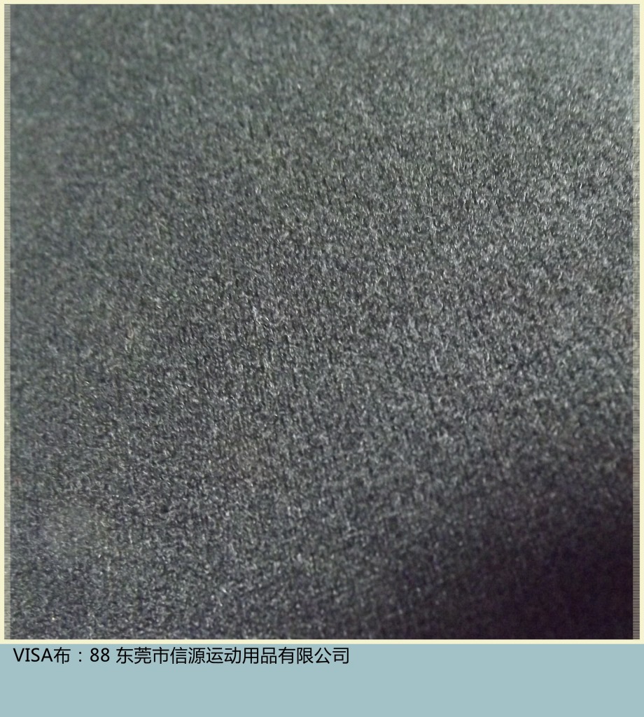 88VISA佈_副本