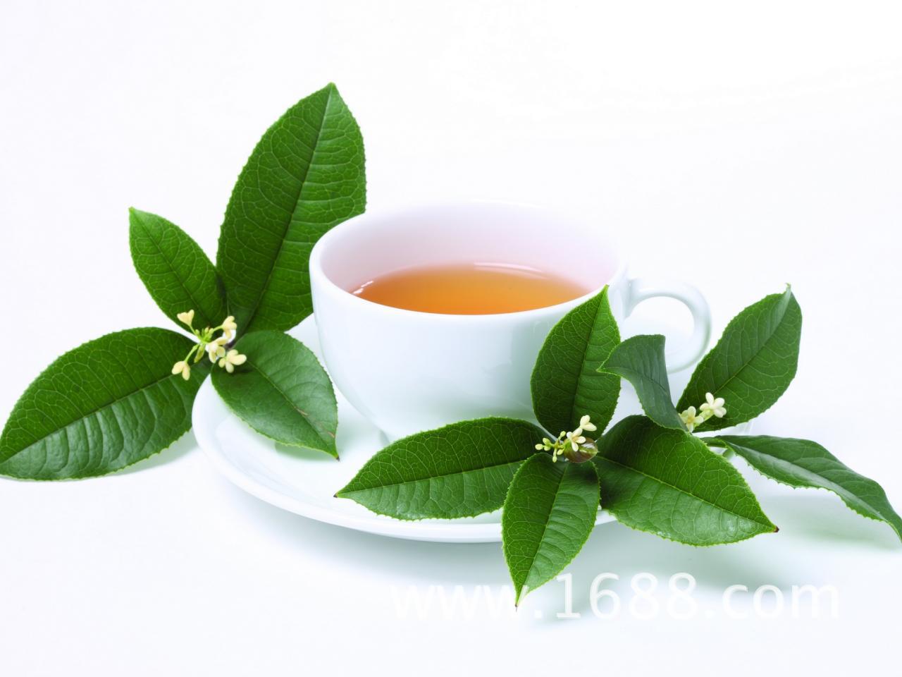 春季食疗养生之龙二少推荐5款花茶助你赶走睡神