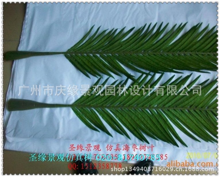 qq图片20130614101723