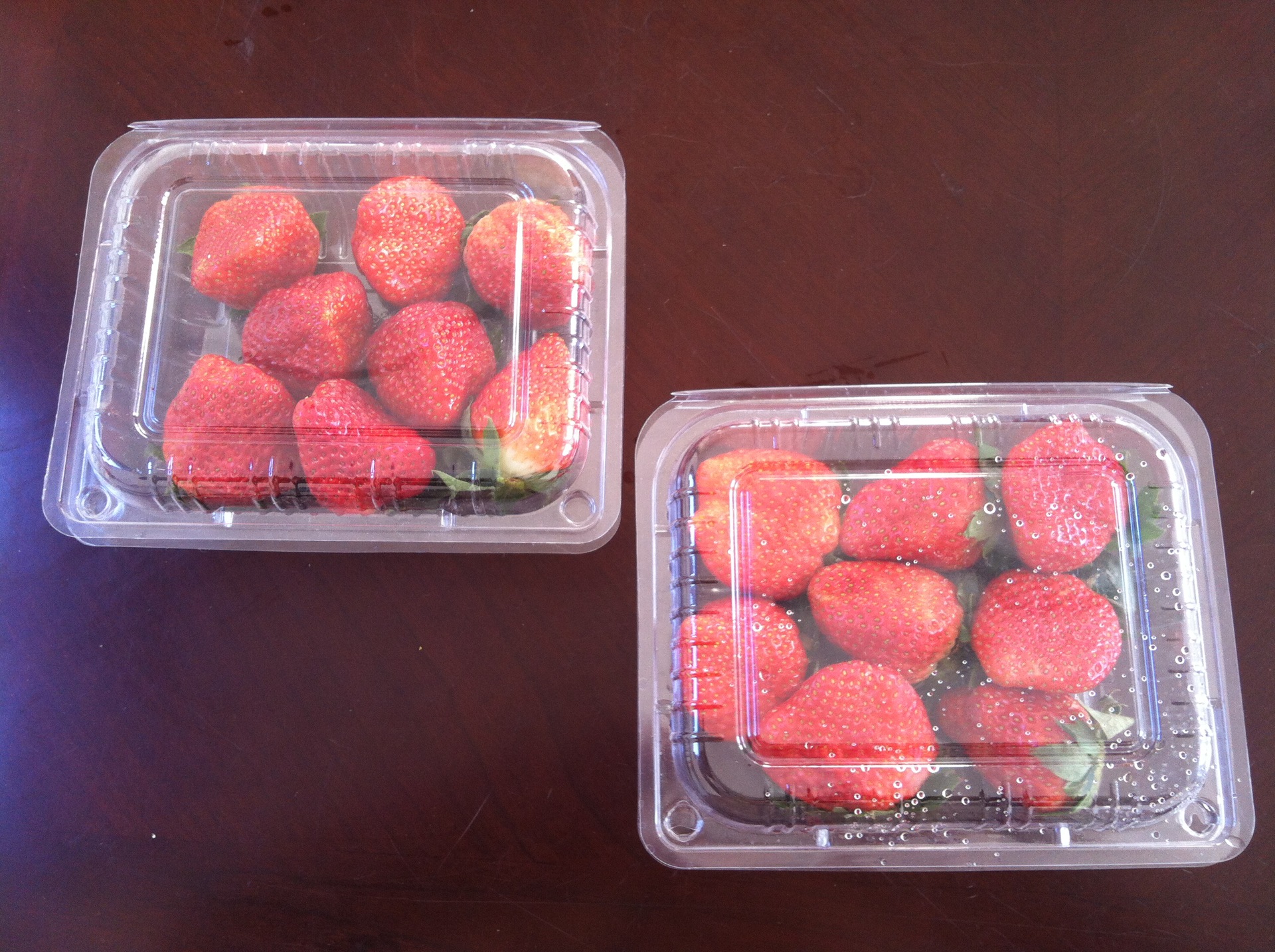 【12枚草莓盒】价格,厂家,图片,塑料盒,北京锦华创艺包装制品有限公司-马可波罗网