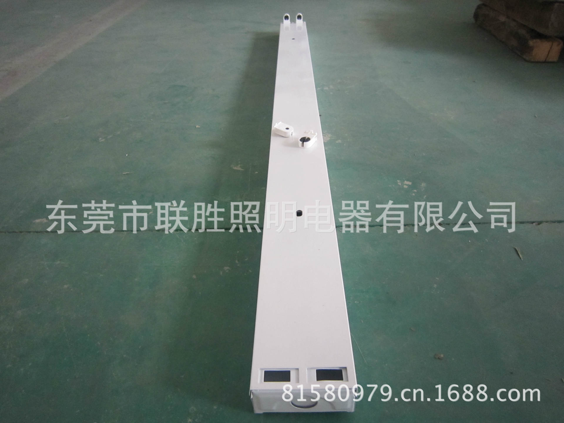 照片 1399