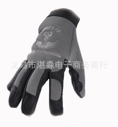 老鷹手套-2