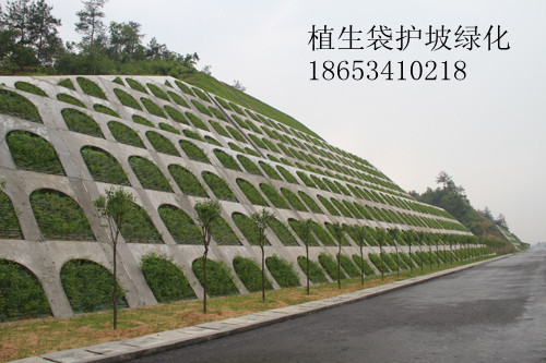 植生袋护坡绿化