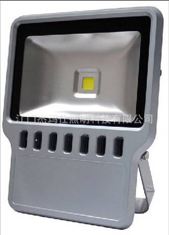 ECL-FGD05-100W