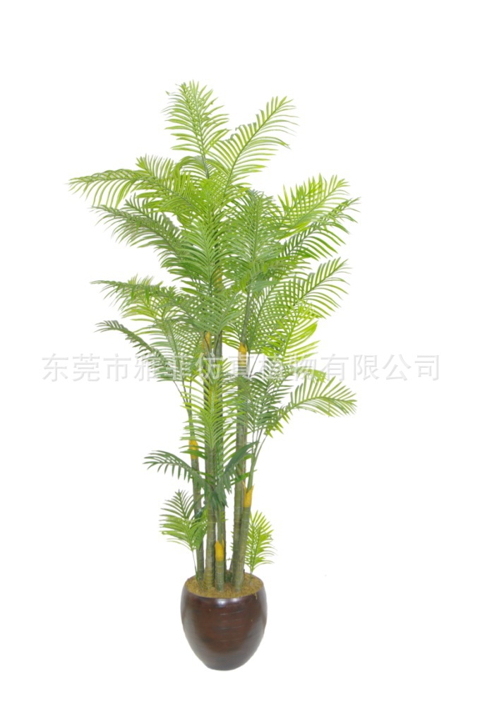 SJA0807  夏威夷葵45-10PS  280CM