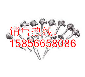 石油化工热电阻,热电偶图片_副本
