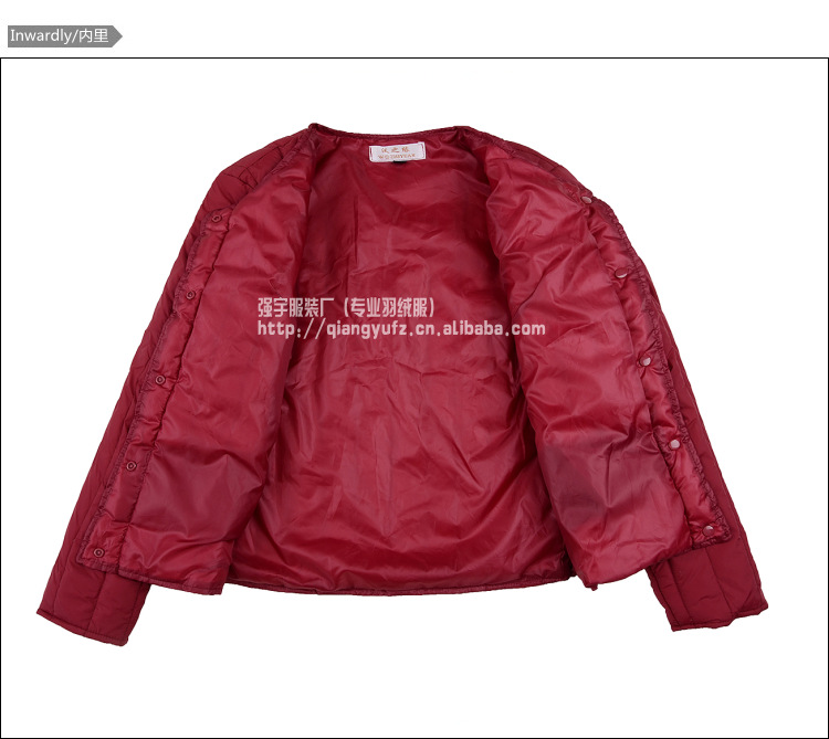 WZY0023368内里图