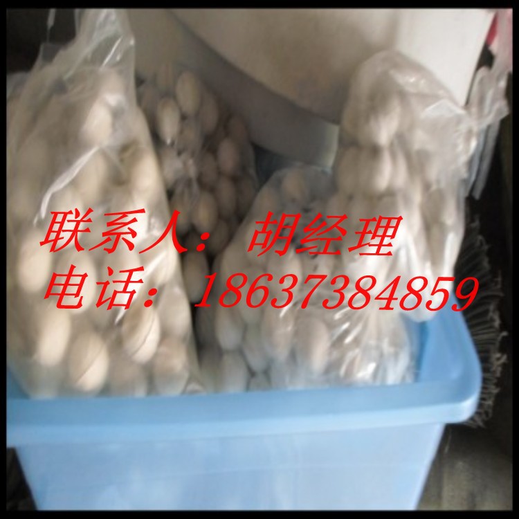 conew_conew_sam_0775