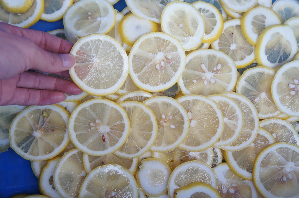 瓜果切片机\/蔬果切丁机\/蔬果切丝机\/直立式球根