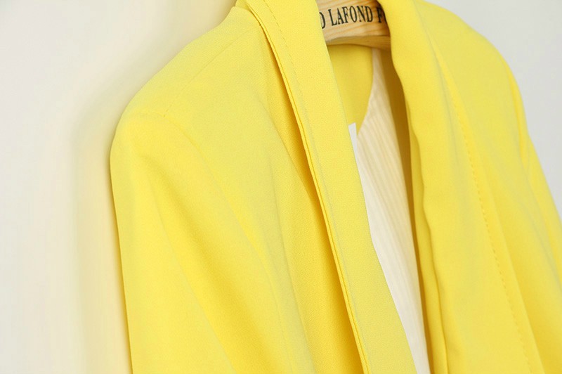 2013秋装新款女式休闲小西装中长款女款修身