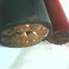 u=3855346218,72735261&fm=0&gp=