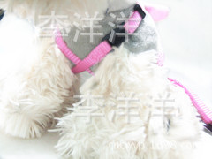 DSCF3818