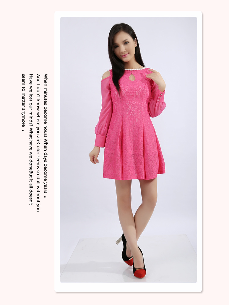 2013秋冬潮新款韩版淑女连衣裙 高档品牌OL时