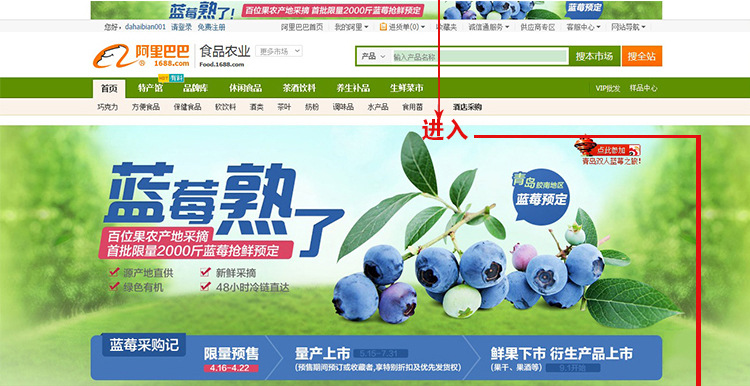 【蓝莓鲜果 1分钱预定券 五月下旬上市量大优