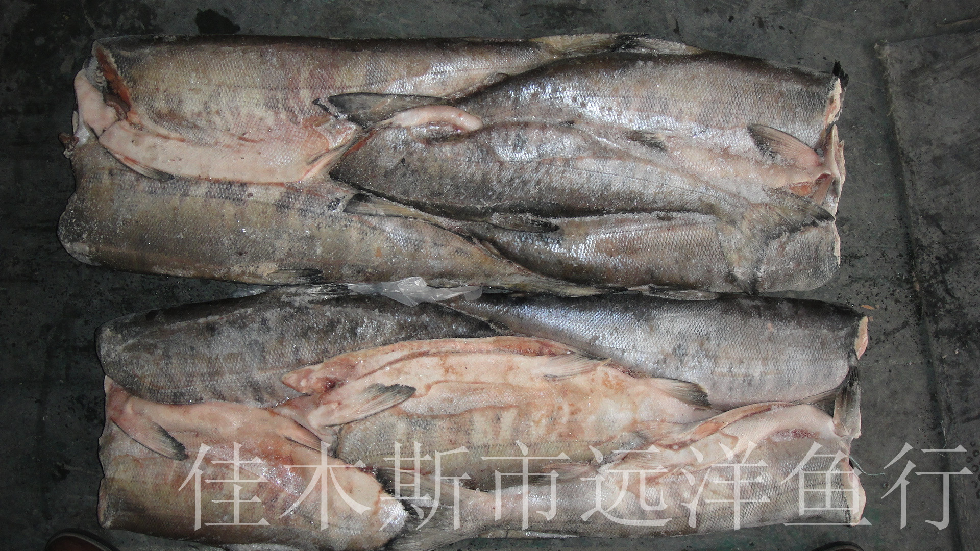 哈龙德 风味鱼 大马哈鱼/ 黑龙江特产/俄式熏鱼 500克-阿里巴巴