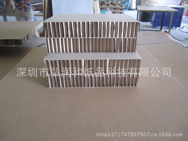 复件 IMG_1932