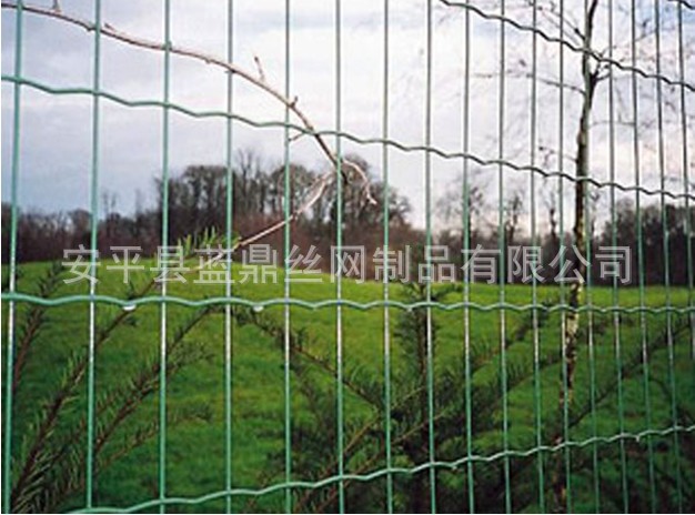 圈地网、养殖网、围栏网、防护网
