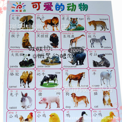 【正版阳光宝贝大挂图 精品幼儿早教看图识字
