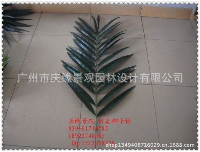 qq图片20130614101738