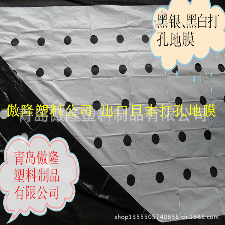 黑白打孔地膜_2
