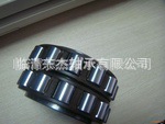 547214154_921225544.search[1]
