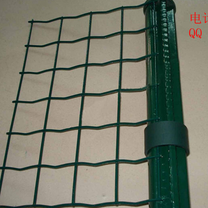 【供给包塑荷兰网 涂塑焊接网 浸塑铁丝电焊网