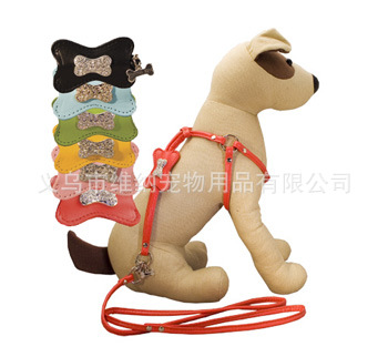 寵物牽引繩主圖