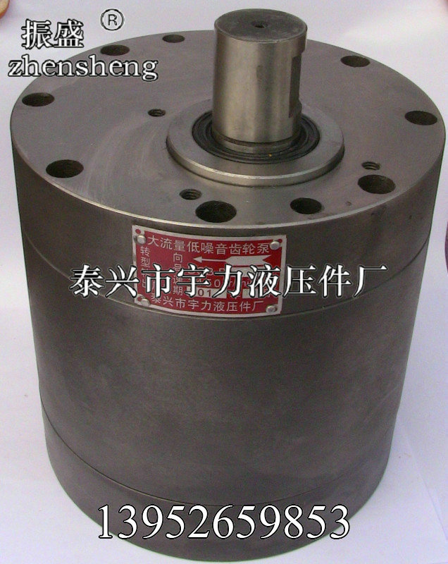 DCB低噪音大流量齿轮泵 - 副本 (2)