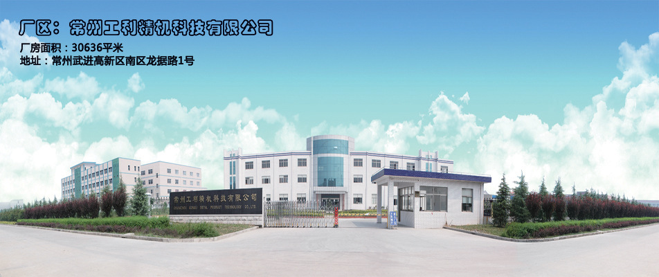 常州乐士雷利电机有限公司