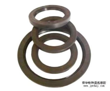 氟橡胶骨架油封1