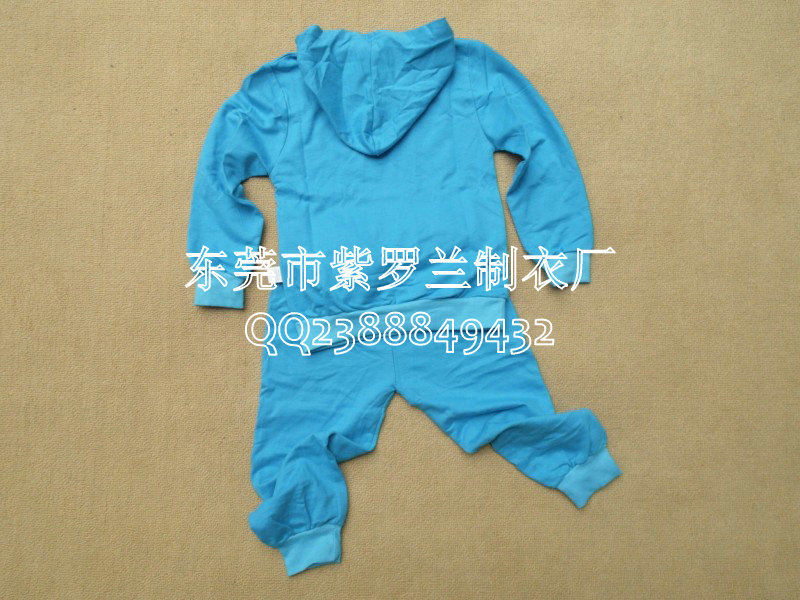 conew_sam_2454